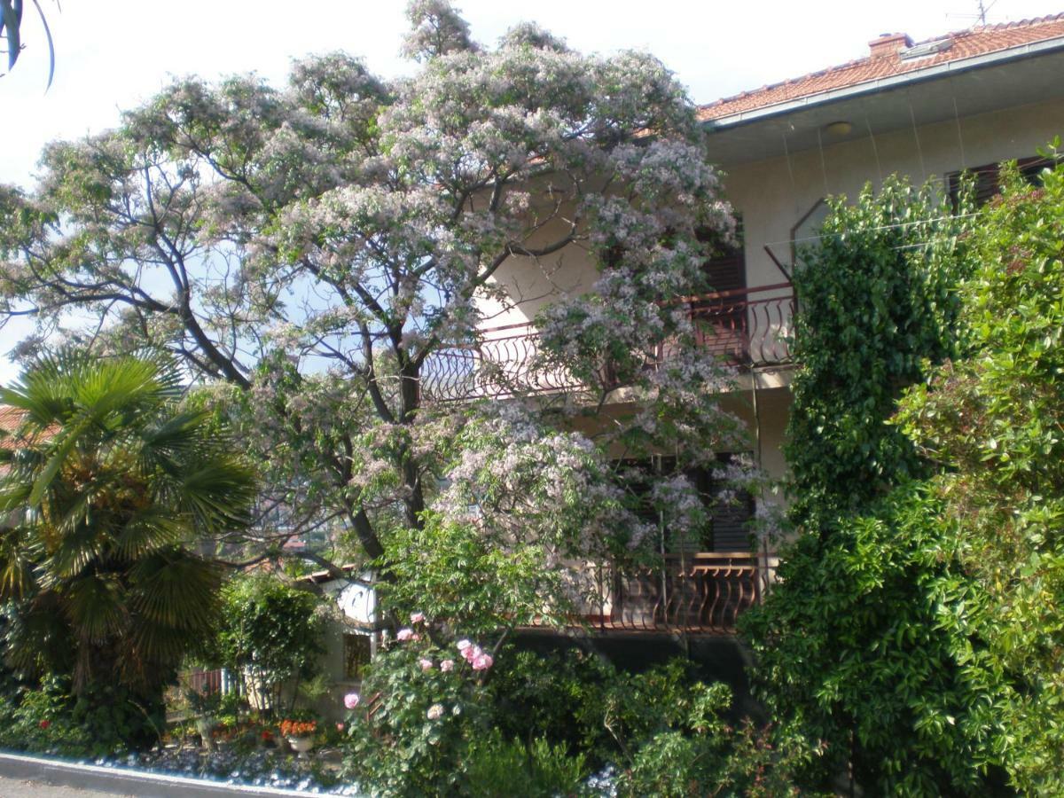 Mravak Apartments 特罗吉尔 外观 照片